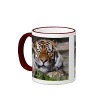 Zambar Tiger Mug