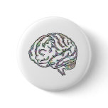 Zany Brainy buttons