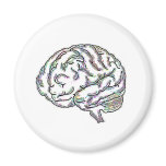 Zany Brainy magnets