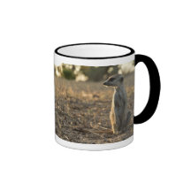 Zaphod 12th Birthday Mug