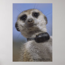 Zaphod - King of the Kalahari Poster
