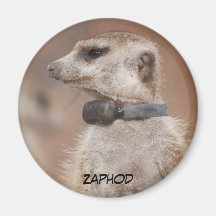 Zaphod Magnet