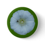 Zaunwinde bindweed anstecknadel