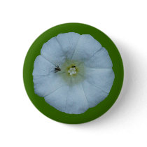 Zaunwinde bindweed anstecknadel