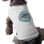 Zaunwinde bindweed pet clothing