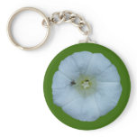 Zaunwinde bindweed keychains