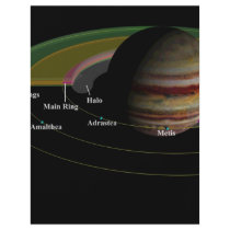 ZAZ263 FULL COLOR FLYER