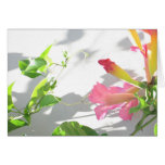 Zazzle II cards