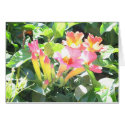 Zazzle III cards