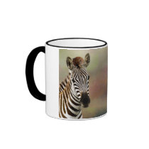 Zazzling Zebras Coffee Mugs