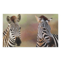 Zazzling Zebras Rectangle Stickers