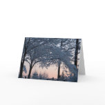 ZB- Inspirational Nature Christmas Cards