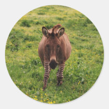 Ze-donk Round Stickers