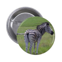 Zebra Attitude  Button