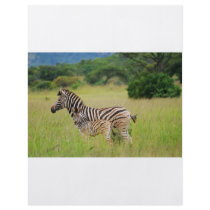 Zebra baby and mum personalized flyer