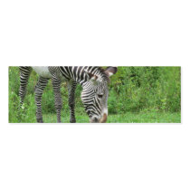 Zebra Bookmark Business Card Template