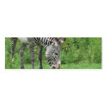 Zebra Bookmark business cards