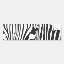 Zebra! Bumper Sticker