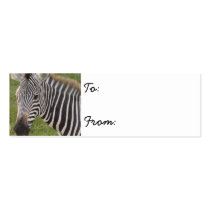 Zebra