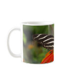 Zebra Butterfly Mug