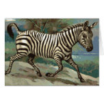 Zebra Cards