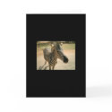 Zebra cards