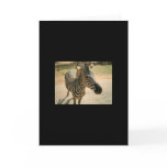 Zebra cards