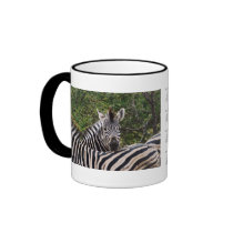 Zebra close up coffee mugs