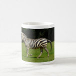 Zebra Coffee Mugs