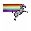 Zebra de Magic t-shirts