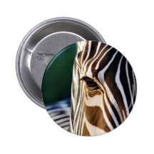 Zebra Eye Closeup Pins