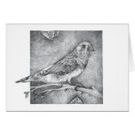 Zebra Finch cards