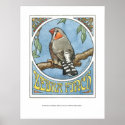 Zebra Finch Nouveau posters