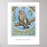 Zebra Finch Nouveau posters