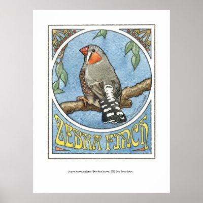 Zebra Finch Nouveau Print by itsupintheairart