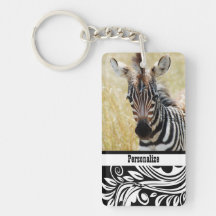 Zebra foal stripes baby photography