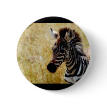 Zebra Foal wildlife badges & buttons