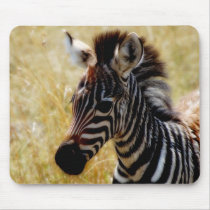 Zebra Foal wildlife mousepads
