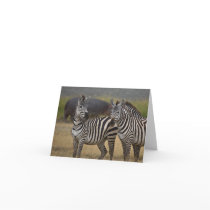 Zebra friendship card