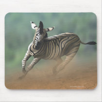 Zebra galloping over the desert landscape. mouse pads
