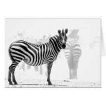 Zebra Greeting Cards