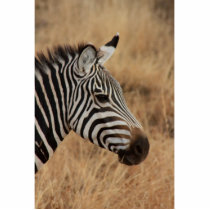 Zebra Head Cut Outs