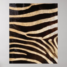 Zebra Hide 2 Poster