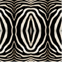 Zebra Hide Photograph