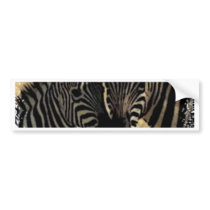 ZEBRA LOVE BUMPER STICKERS