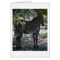 Zebra Love Card