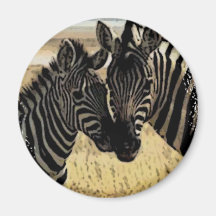 ZEBRA LOVE FRIDGE MAGNETS