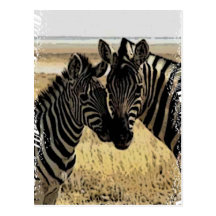 ZEBRA LOVE POSTCARD