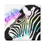Zebra magnet
