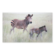 Zebra mum and baby sticker